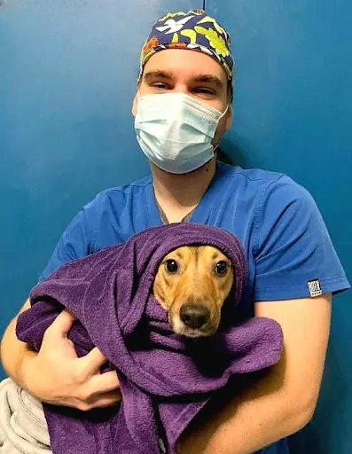 Lecznica weterynaryjna DOKTORWET